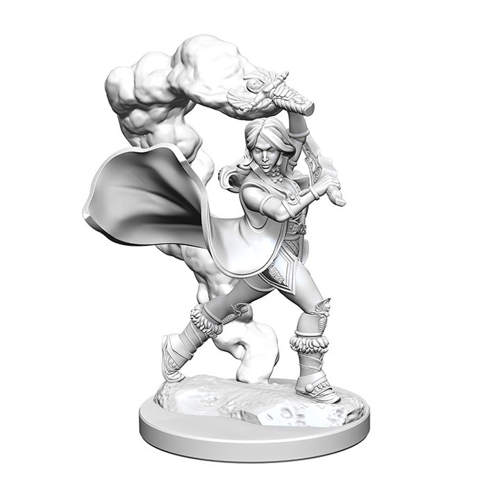 WizKids 72601 Pathfinder Battles Deep Cuts: Human Female Cleric (9003777229037)
