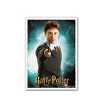 Dragon Shield Sleeves (100) Harry Potter Hermione (2)