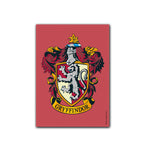 Dragon Shield Sleeves (100) Ravenclaw Brushed Art (2)