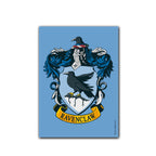 Dragon Shield Sleeves (100) Hufflepuff Brushed Art (2)