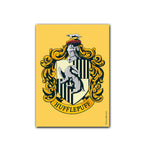 Dragon Shield Sleeves (100) Slytherin Brushed Art (2)