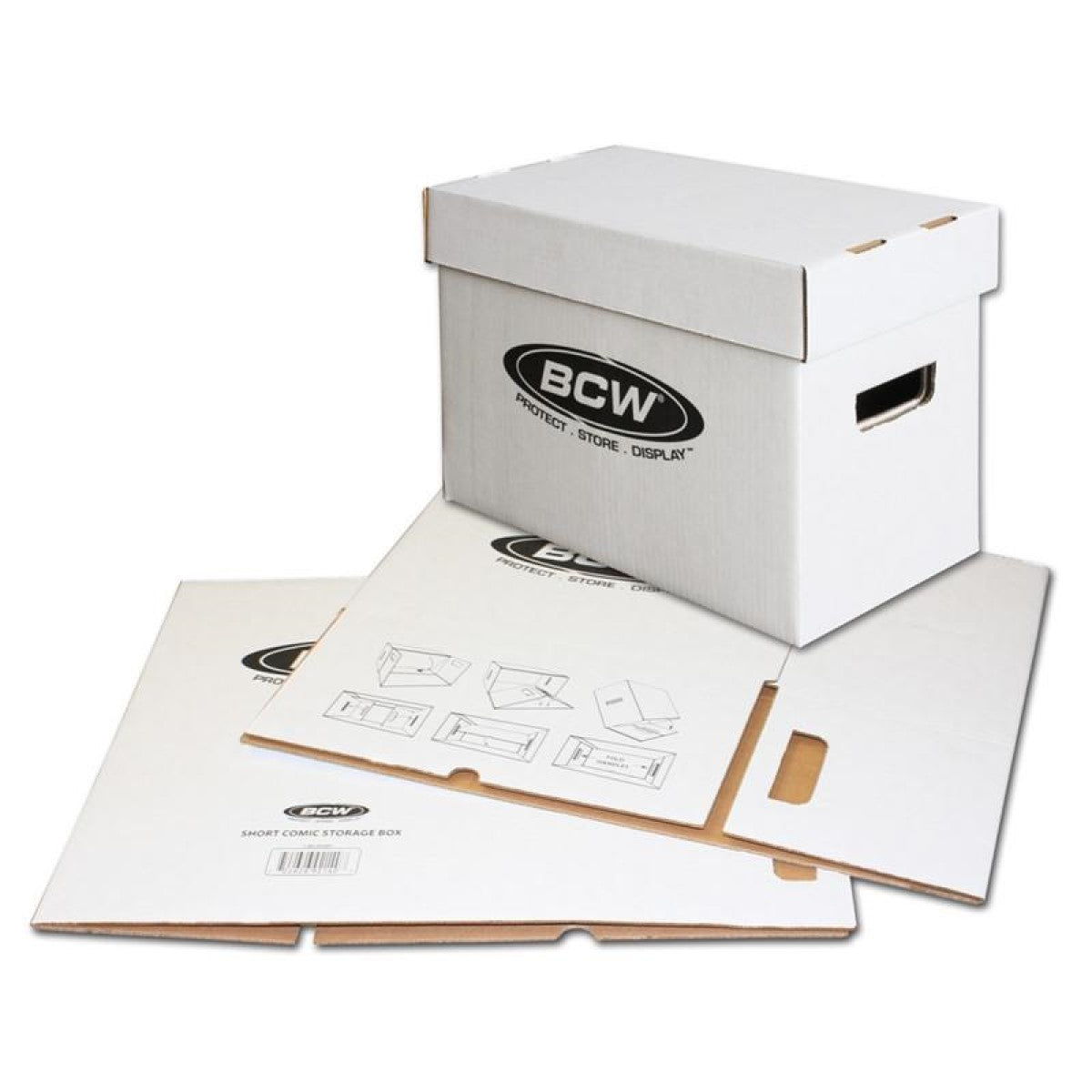 BCW / Monster Graded Shoe Box