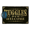 Impact Posters Impact DMMW Licensed Doormat Muggles Welcome