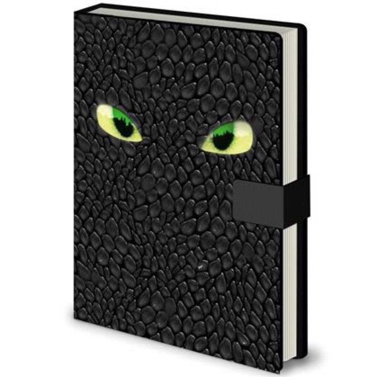 Impact Posters Impact PNHTTYD Licensed Premium Notebook How to Train