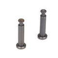 TLR LOSI TLR244007 Hinge Pins4x21mmTiCn(2):8B 3.0 (8319262916845)