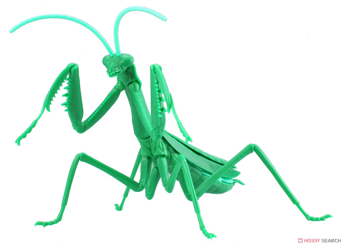Fujimi 171111 Biology Ed Big Mantis M. Green - Hobby City NZ