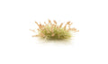 Woodland Scenics G6631 Brown Seed Tufts All Game Terrain (8938446389485)