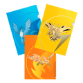 Ultra Pro 16547 PokÃ©mon: Zapdos, Moltres, Articuno A4 Folios (9255894647021)