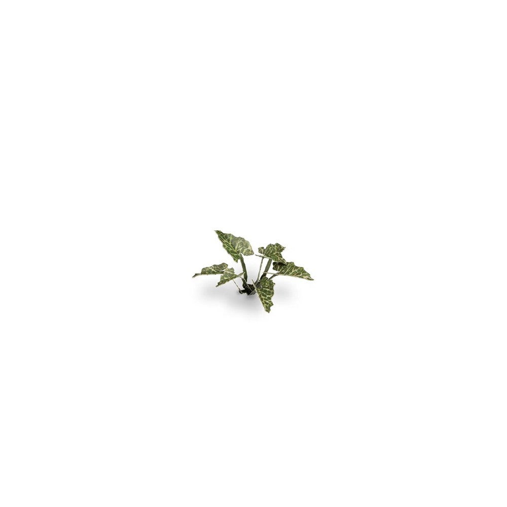 Gamers Grass GGLP-LAL Laser Plants Lords-and-Ladies