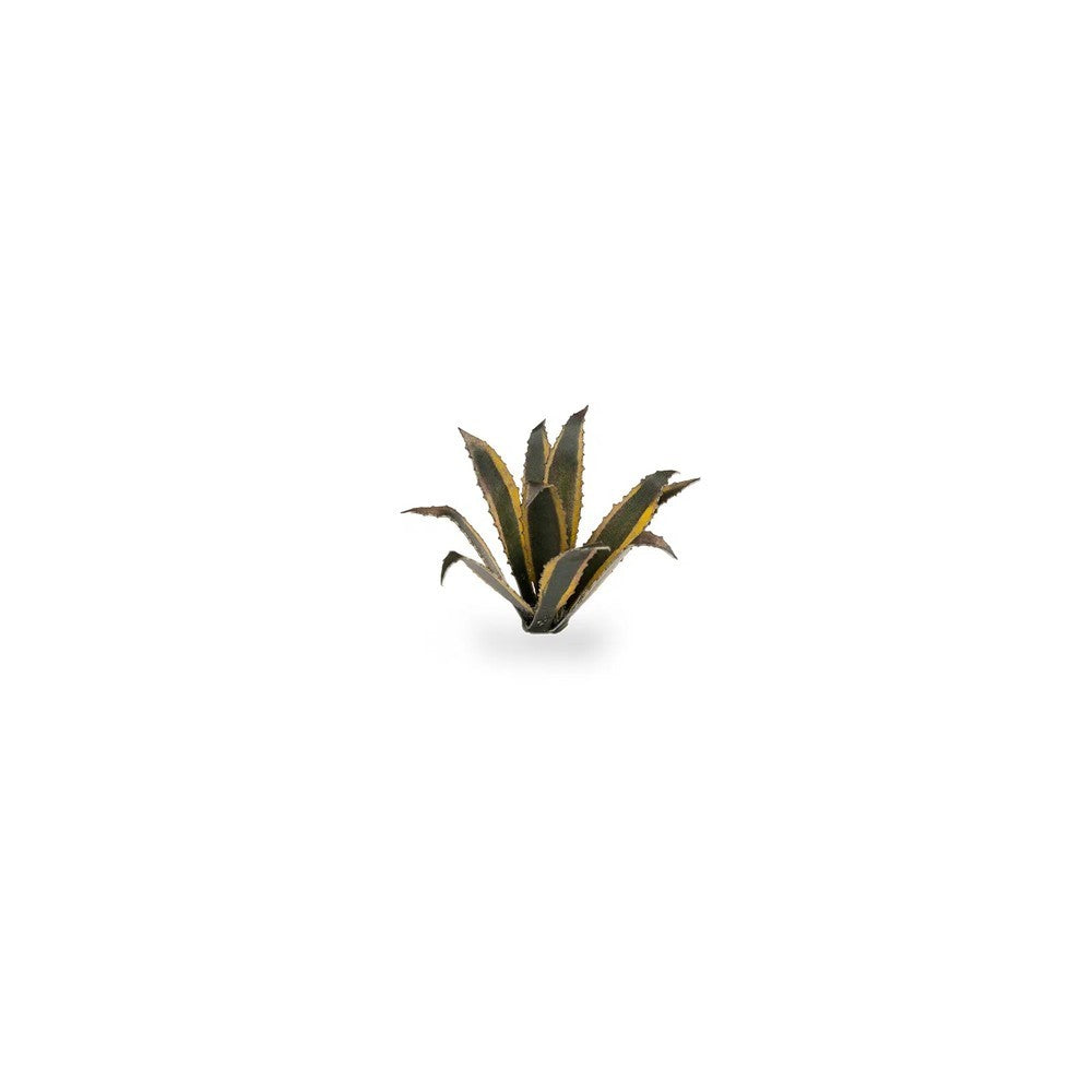 Gamers Grass Laser Plants Agave (3)