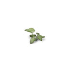 Gamers Grass GGLP-EE Laser Plants Elephant Ear