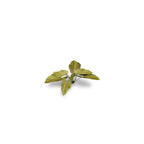 Gamers Grass GGLP-EE Laser Plants Elephant Ear