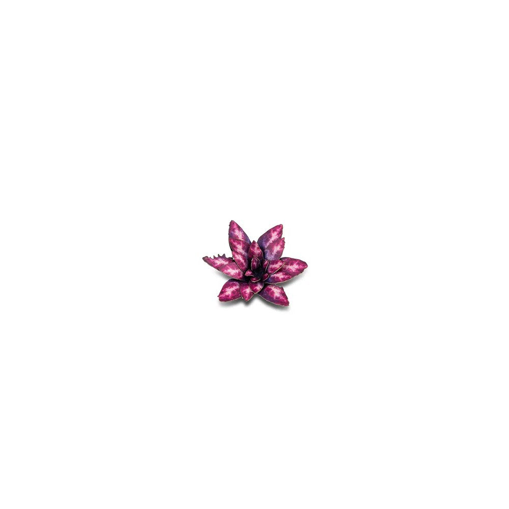 Gamers Grass Laser Plants Alien Rosette (4)