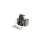 Gamers Grass Laser Plants Bracken (2)