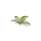 Gamers Grass Laser Plants Bracken (3)