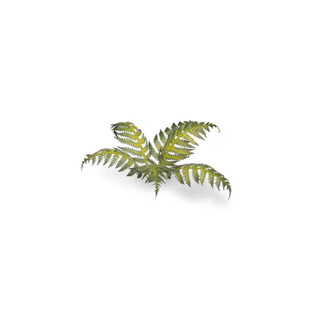 Gamers Grass Laser Plants Bracken (3)