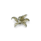 Gamers Grass Laser Plants Bracken (4)