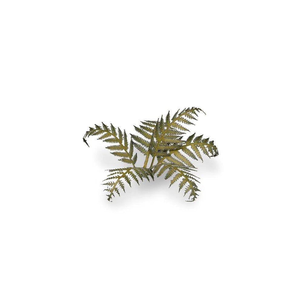 Gamers Grass Laser Plants Bracken (4)