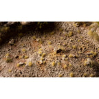 Gamers Grass GGTT-BE Grass Tufts Tiny Tufts Tiny Beige
