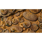 Gamers Grass GGB-DO60 Battle Ready Bases Deserts of Maahl Oval 60mm (x4)