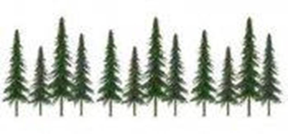 JTT Scenery 92028 150-250mm Spruce (12) (8324598202605)