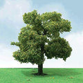 xJTT Scenery 92201 35-50 Deciduous (3) (7537659052269)