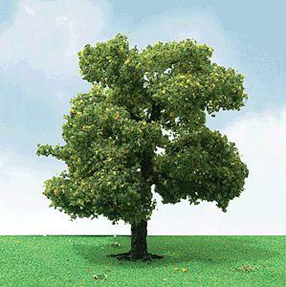 xJTT Scenery 92201 35-50 Deciduous (3) (7537659052269)