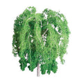 cJTT Scenery 92202 35-50 Willow (3) (8324598792429)