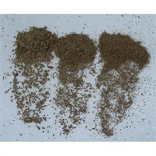 xJTT Scenery 92224 44-51mm Snow Gum (3) - Hobby City NZ (7537659314413)