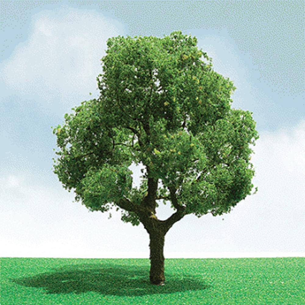 cJTT Scenery 92301 75-85mm Deciduous (2) (8324599415021)