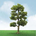 cJTT Scenery 92306 85-100mm Downy Birch (2) (8324599808237)