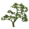 cJTT Scenery 92325 75-85mm Snow Gum (2) (8324600529133)