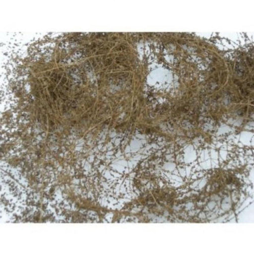 JTT Scenery 95063 Dry Vine Dead Foliage (8531158270189)