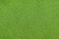 JTT Scenery 95402 Grass Mat: 2500x1250mm LghtGrn (7537666687213)