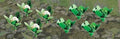 JTT Scenery 95529 HO: 9.5mm Broccoli Cauli (20) (8327573209325)