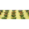 JTT Scenery 95581 Flower Bushes (8232444035309)