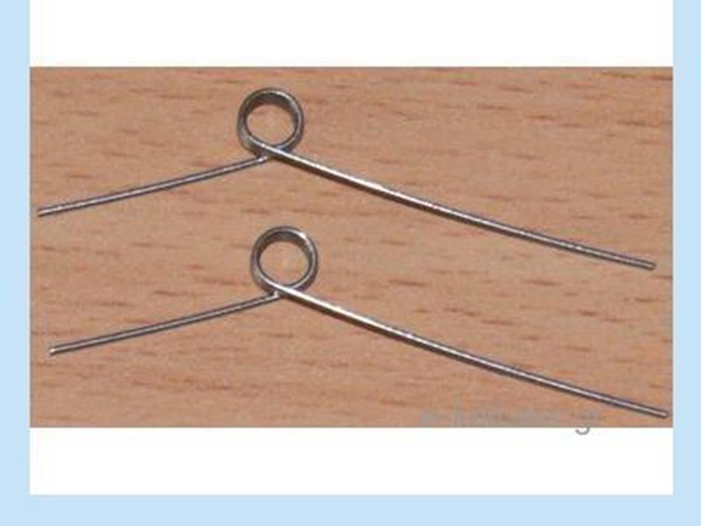 Tamiya 9805304 AXLE SPRINGS(2) -HORNET (9805519 (8278049718509)