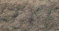 Woodland Scenics FL633 STATIC GRASS FLOCK BURNT GRAS (7540596408557)