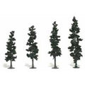 Woodland Scenics 24 PINE TREES 4-6INCHES CONN