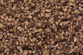 Woodland Scenics B86 BALLAST BROWN COARSE (7540598112493)