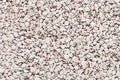 Woodland Scenics B81 BALLAST LIGHT GRAY MEDIUM (7540600176877)