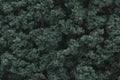 Woodland Scenics FC147 BUSHES CLUMP FOLIAGE DARK GRE (7540602077421)