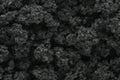 Woodland Scenics FC148 BUSHES CLUMP FOLIAGE FORE GRE (7540602175725)