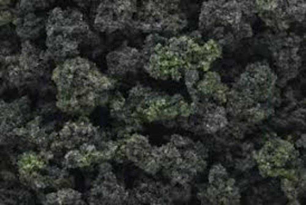 Woodland Scenics BUSHES CLUMP FOLIAGE FOREST B