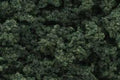 Woodland Scenics CLUMP FOILAGE DARK GREEN