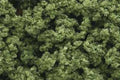 Woodland Scenics CLUMP FOILAGE LIGHT GREEN