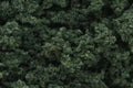 Woodland Scenics FC184 CLUMP FOLLIAGE DARK GREEN (7540603289837)
