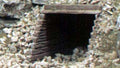 zWoodland Scenics C1165 CULVERTS TIMBER N (7540605485293)
