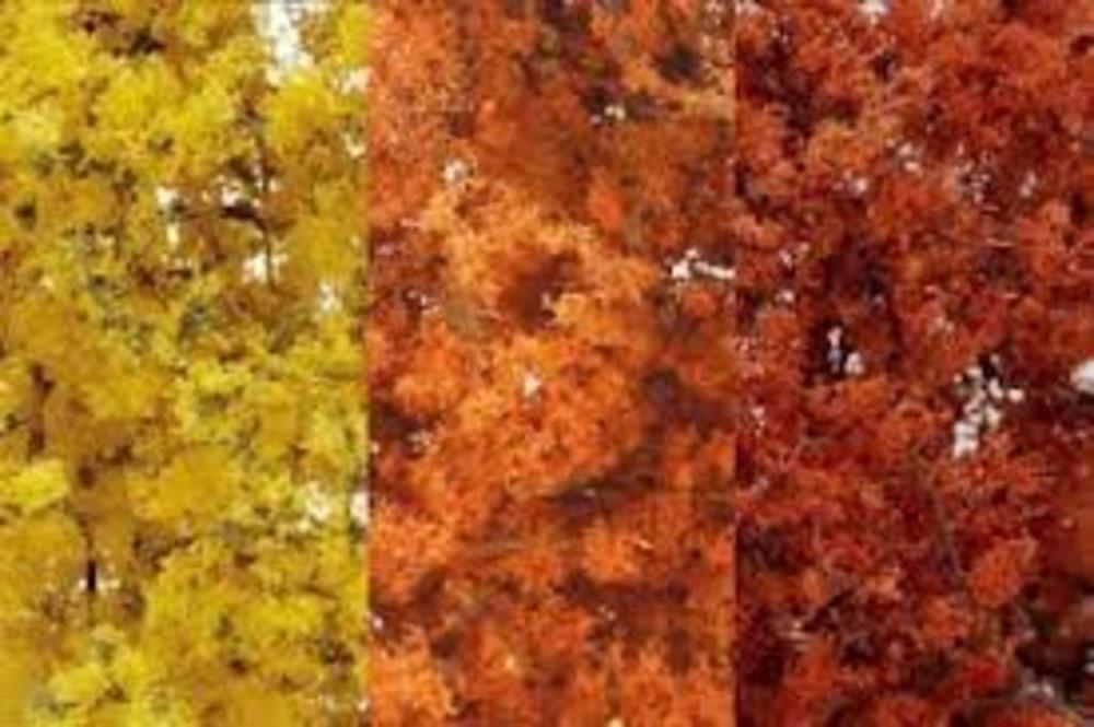 Woodland Scenics F1135 FINE LEAF FOLIAGE FALL MIX (7540609253613)