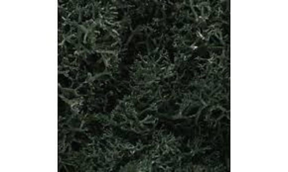 Woodland Scenics LICHEN DARK GREEN MIX